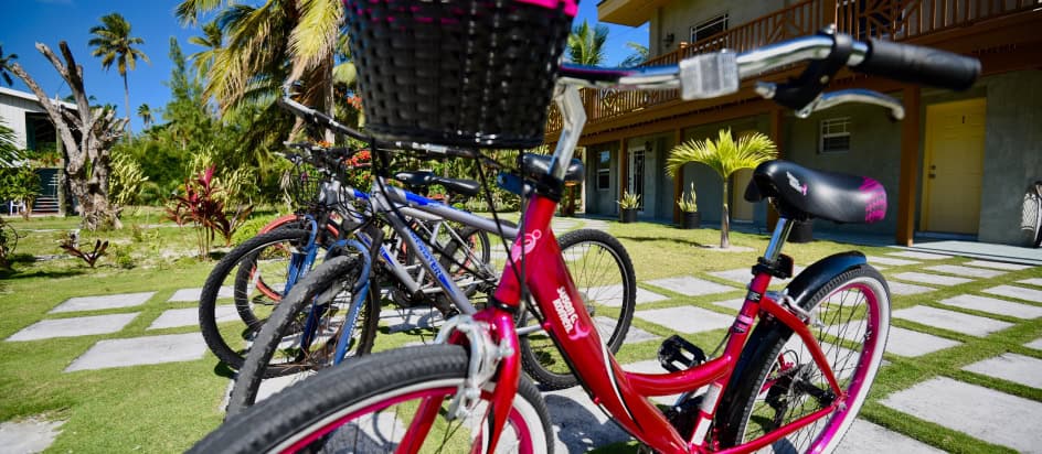 bike-ride - Swains Cay Lodge Mangrove Cay, Andros Island, Bahamas Bike Ride